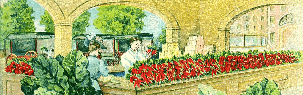 period illustration of radish packing