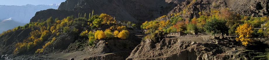 pamirs banner