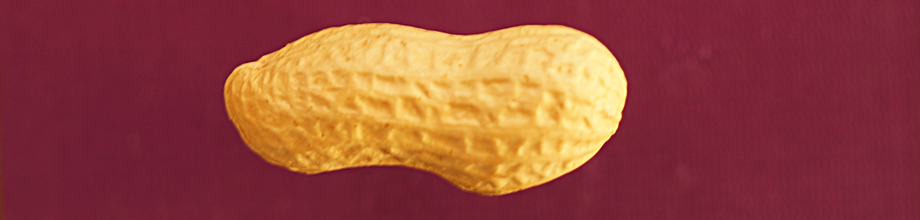 peanut-banner