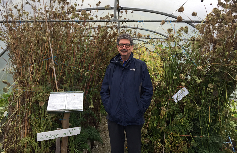 Jeremy in a polytunnel of plants gone to seed