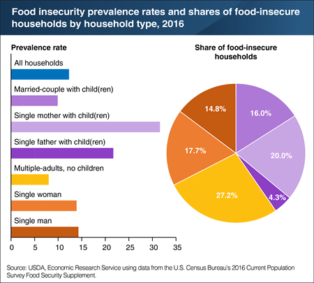 Food insecurity in the US