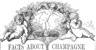 Cherubs crush grapes