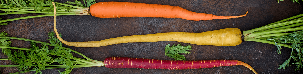 Orange, yellow and purple carrots