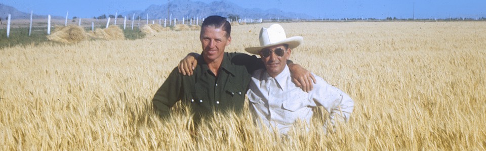 Norman Borlaug, left, in an experimental wheat field in northern Mexico