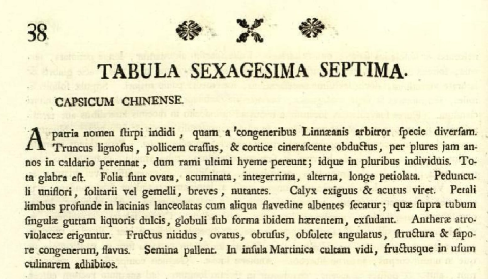 Original description of Capsicum chinense