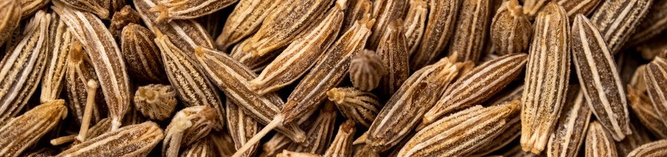 close-up of cumin seeds