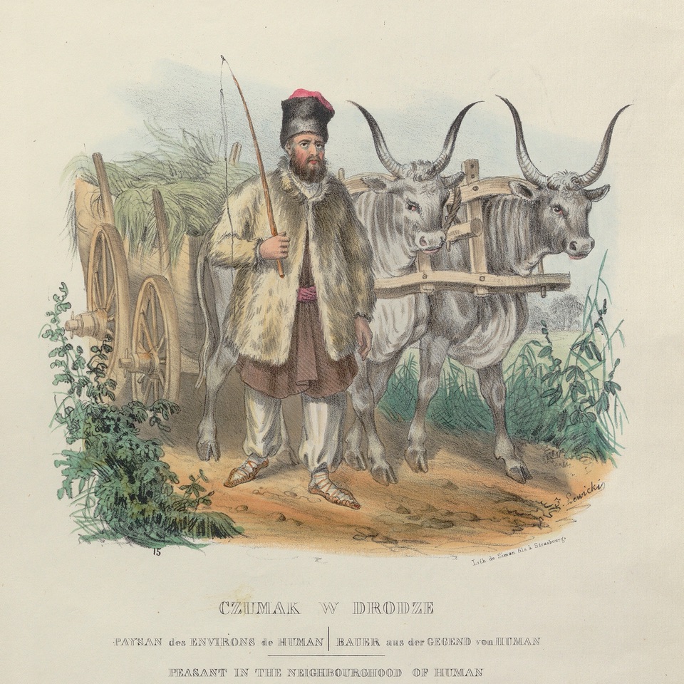 19th-century picture of a Chumak trader. His cart is loaded with green plants, possibly hay, and is pulled by two lyre-horned oxen.