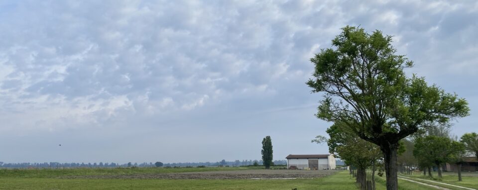 A wide view of the flat landscape of the Agrilocanda val Campotto. A line of trees stretches towards and barn and the horizon, with massed blue-grey clouds in the sky.