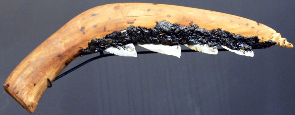 A Neolithic sickle, with sharp flint chips embedded into a wooden handle with tar or bitumen.
